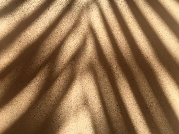 Schatten einer Palme auf warmem Grund